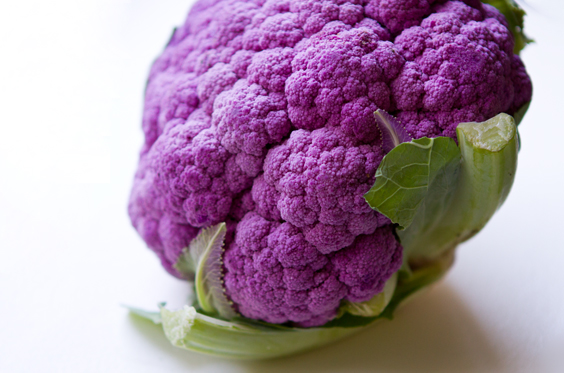 My Storage - Purple Cauliflower for Fall